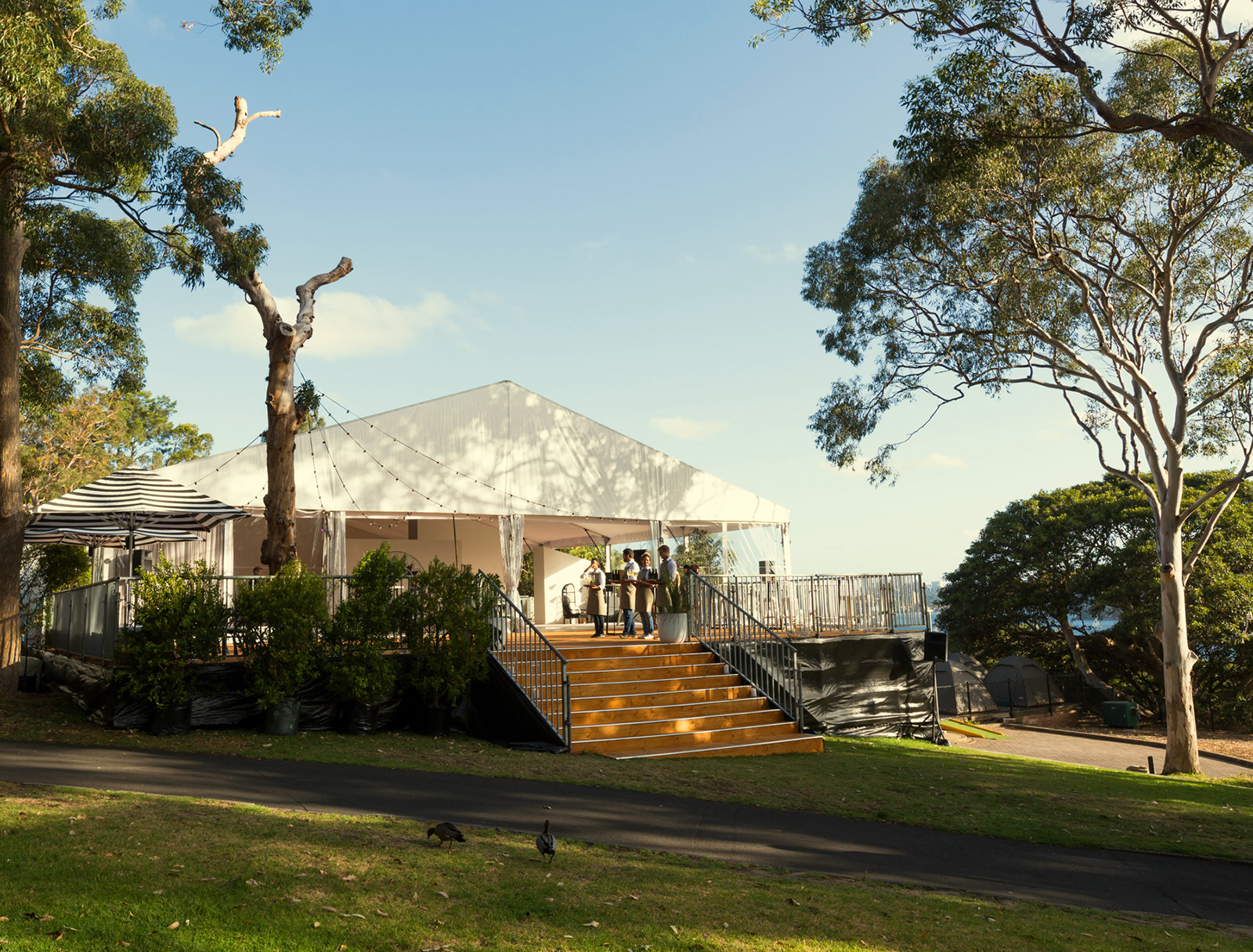 TeamEvent_Taronga_Marquee_03