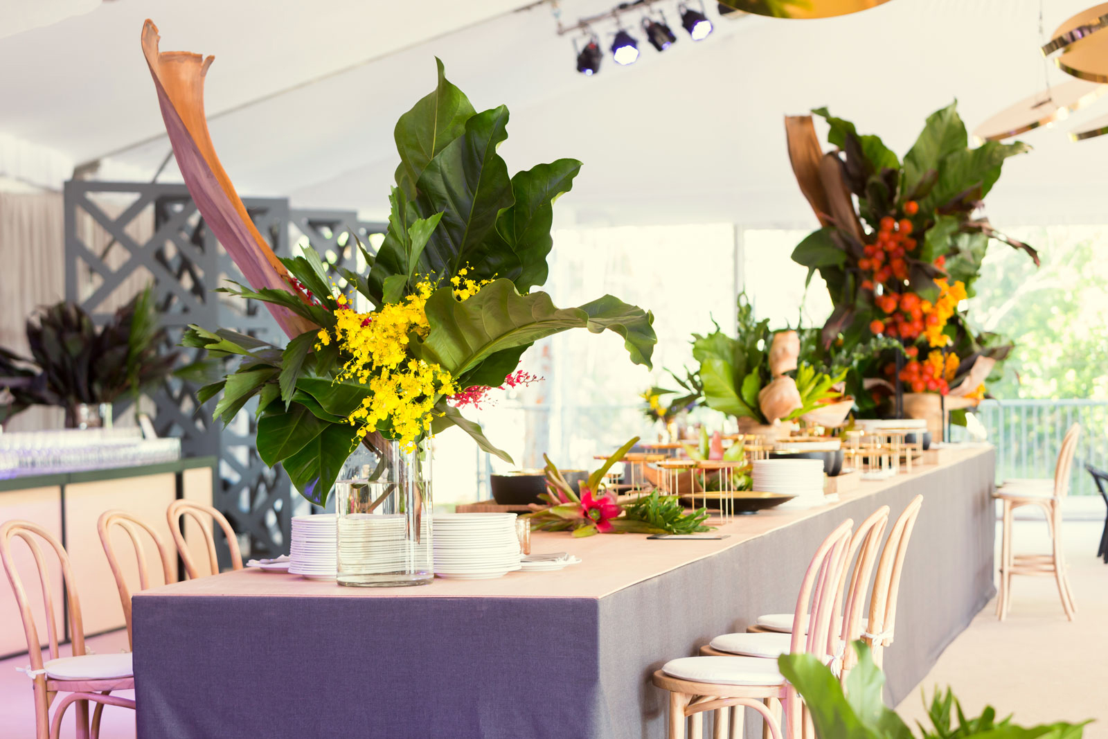 TeamEvent_Taronga_Marquee_11