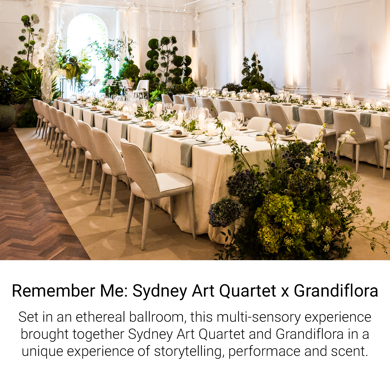 Sydney Art Quartet x Grandiflora